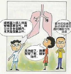 肺结核预防方法,肺结核如何预防 百姓健康网 