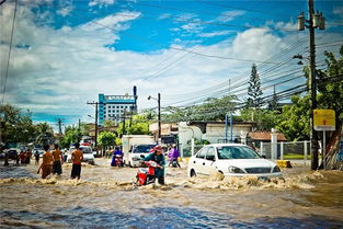 梦见大水淹路