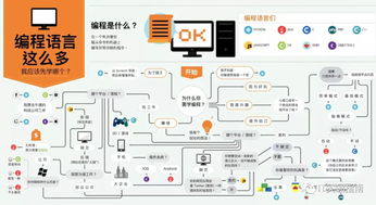 30岁了转行学编程来得及吗 我是这样回答的...