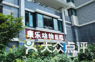 杭州西湖区宠物医院排行榜 
