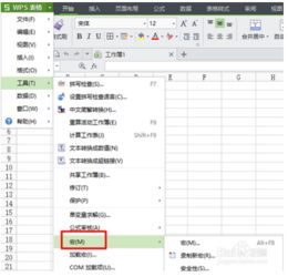 wps office怎样启用宏 wps office启用宏方法 