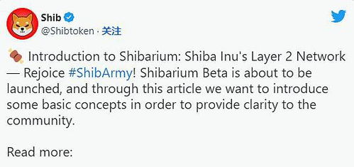 shiba币2023年价格,六白乾命是什么命？有何特征