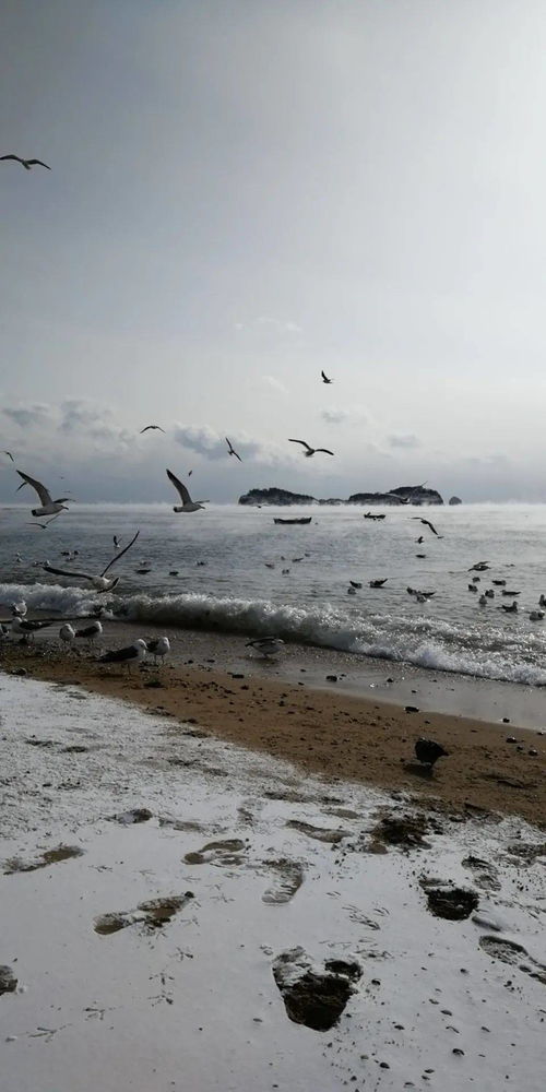 海浩奇观是什么意思,海浩奇观是什么意思(图2)