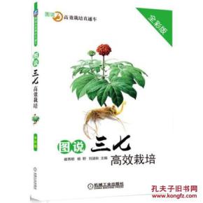 三七树怎么种植管理,三七栽培技术