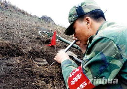 排雷官兵日夜奋战在中越边境雷场 