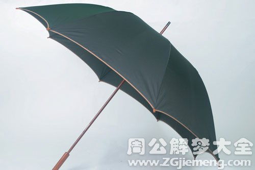 梦见下雨伞丢了是什么意思 梦到下雨伞丢了好不好 大鱼解梦网 