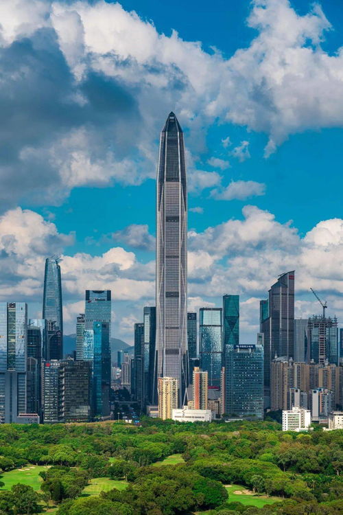 上海国贸大厦多高图片