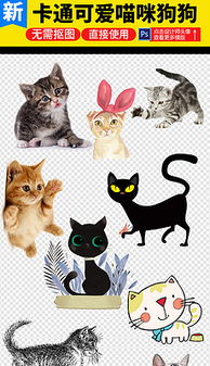 韩国小猫图片素材 韩国小猫图片素材下载 韩国小猫背景素材 韩国小猫模板下载 我图网 