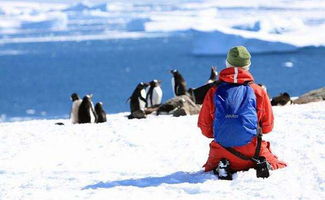 南极旅游需要多少费用,机票和船费。