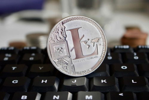 莱特币litecoin