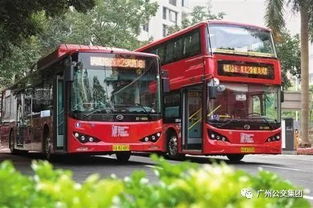 交通旅游 巴士学堂 开学啦 畅游新城, 途 出美丽大广州