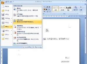 如何在 Microsoft Office Word 2007文档设计保护密码