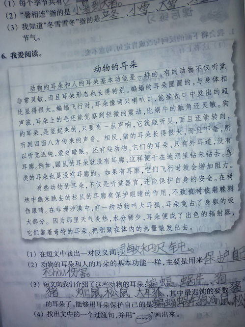 过渡句是什么意思