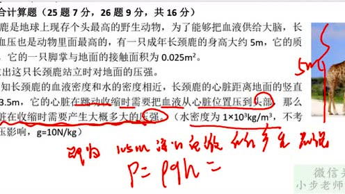 小步老师讲物理的个人频道 