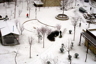 2013 2014北京今冬终于下雪了 我家小区门里门外