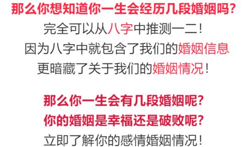 属马人一生会有几段婚姻呢 今生你的婚姻是幸福还是破败呢