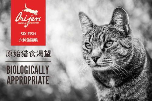 巅峰 petag 渴望三款高端猫粮哪款更推荐