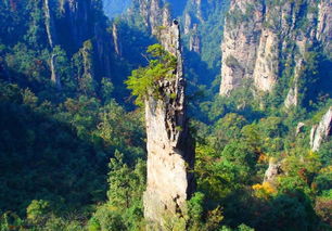 湖南张家界桑植走马坪白族乡