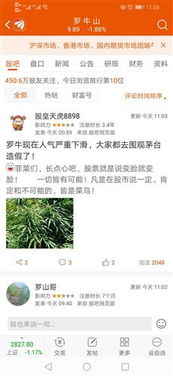 罗牛山为什么不涨啊