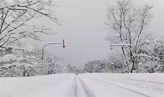 北海道雪天道路景色 1月11日摄 信息阅读欣赏 信息村 K0w0m Com