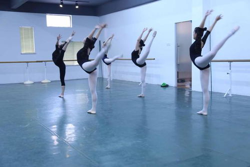 艺考舞蹈培训内容,艺考舞蹈考什么？