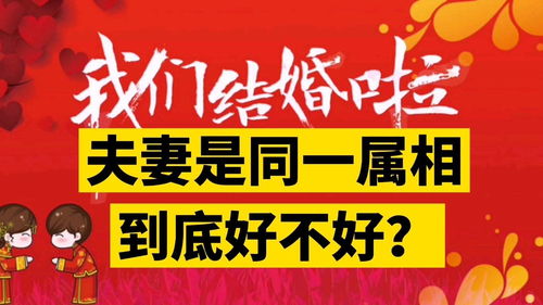 夫妻是同一个属相到底好不好 看看就知道了 