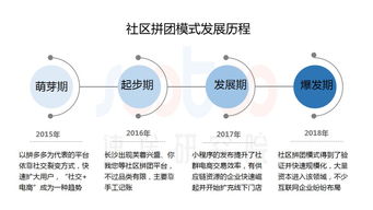 速途研究院 2019年上半年社区拼团市场研究报告