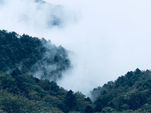 关于雾和山仙境的诗句