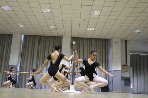 高考体育舞蹈专业的艺考生,体育舞蹈艺考可以报考哪些大学?