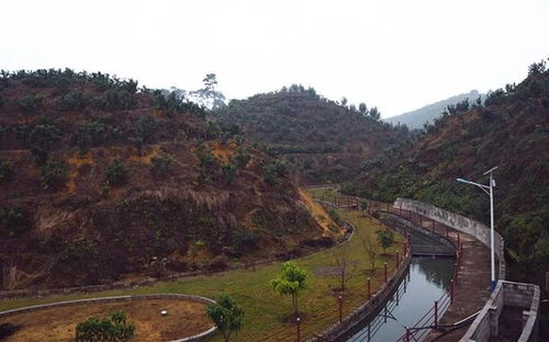 宾阳春节必约 网红打卡地马岭生态园,鲜果土货应有尽有 附视频