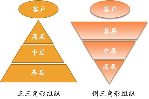 亚马逊 创新与管理水火相济的成功标本 5 