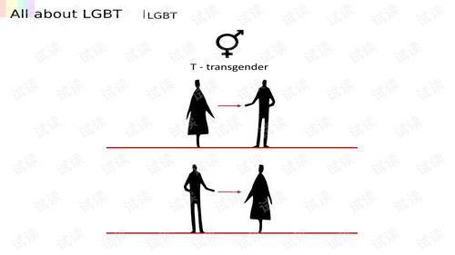 AllaboutLGBT lgbt算法 讲义文档类资源 CSDN下载 