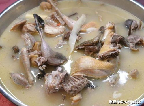 广东的 龙虎凤 为什么称为天下第一汤 食材超乎想象,怕了怕了