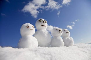 夹雪人神器夹不住(夹雪神器怎么夹鸭子)