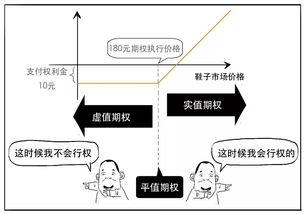 期权是什么意思？简短说