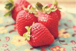 摩羯座小可爱草莓 摩羯座草莓晶
