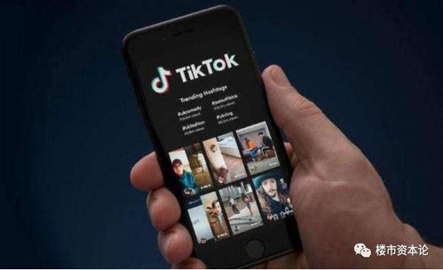 TikTok做什么类目会比较好具体分析_tiktok广告账户【白名单快速申请通道】