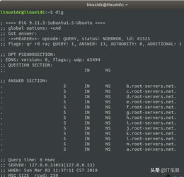  linux命令解析,linux如何解析域名