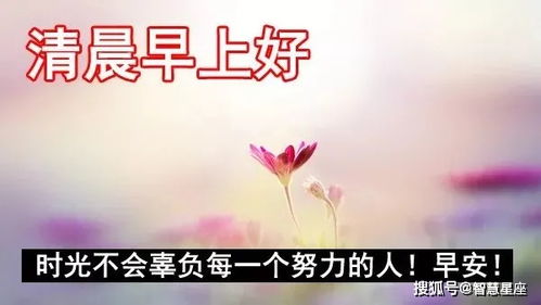 顾客早安励志正能量短句（早上群发客户暖心句子？）