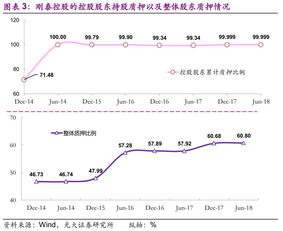 什么叫持有控股股东比例？