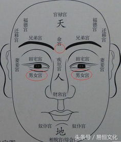 搜狐公众平台 民间面相男女宫子女诀注解 