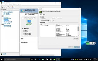 win10怎么看显卡多少m