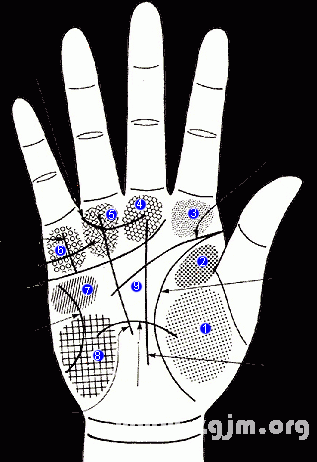 看手相算命图解 手