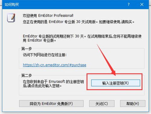 EmEditor破解版下载 EmEditor Pro TXT文本编辑器 附注册码 教程 v22.5.1 中文绿色永久激活版 32位 