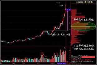 炒股问题！各位炒股前辈，公司年报排行在那里查询？