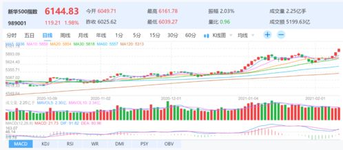 A股三大指数集体小涨，CPO概念领涨，新股N固高高开525%