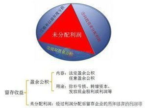 分析股票基本面需要看哪些数据