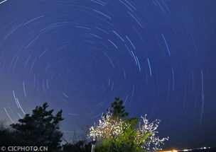 花语星空