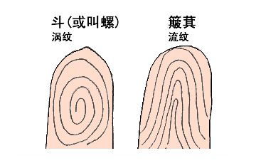 父母手上有几个斗最旺子女,孩子长大会成功