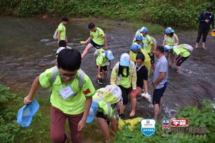 走进山村,牵手连心 2019年英国牛津剑桥学霸带你去探险第一期DAY5记录